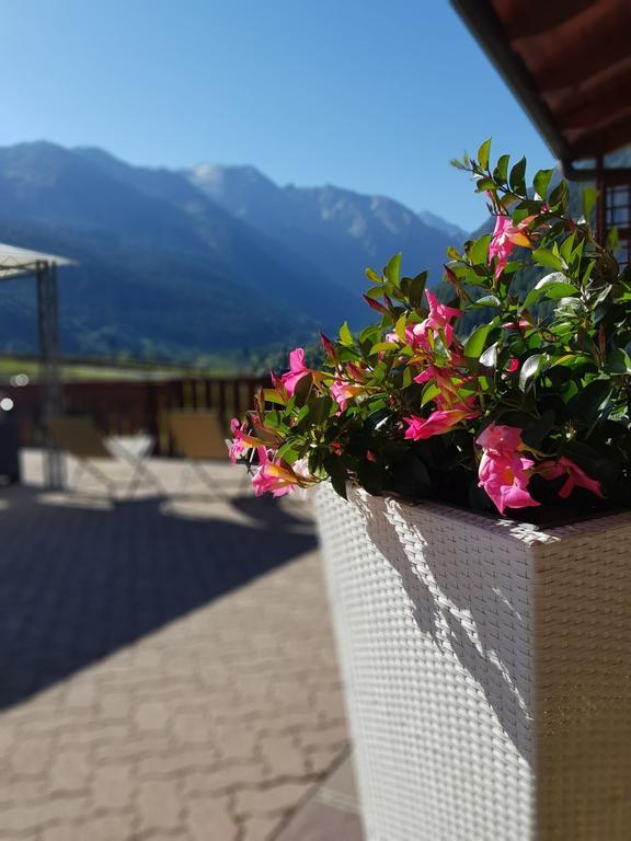 Hotel Veduta Dell'Adamello Temù Exterior foto